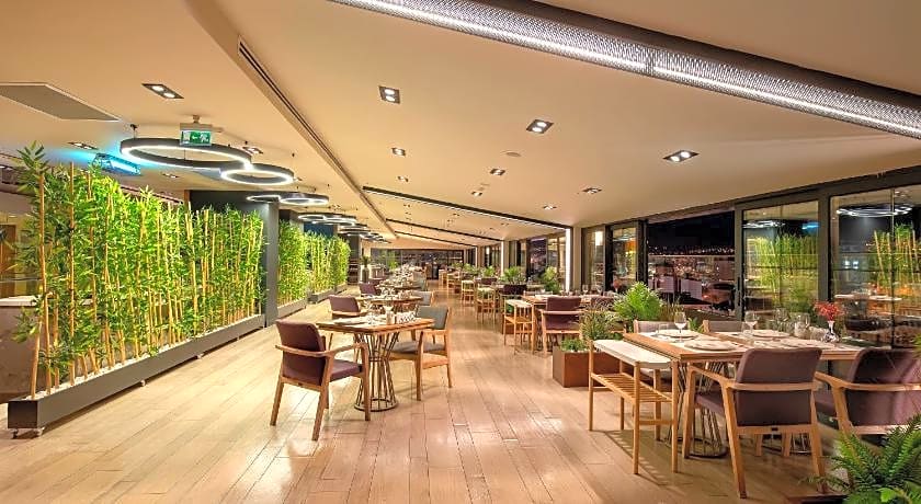 Holiday Inn Kayseri - Duvenonu By IHG