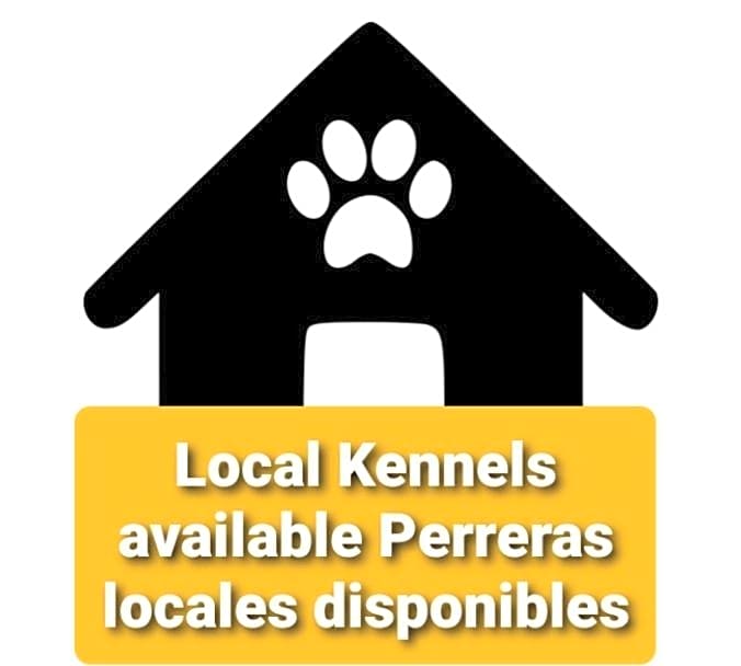 Recovery Mountain Homestay