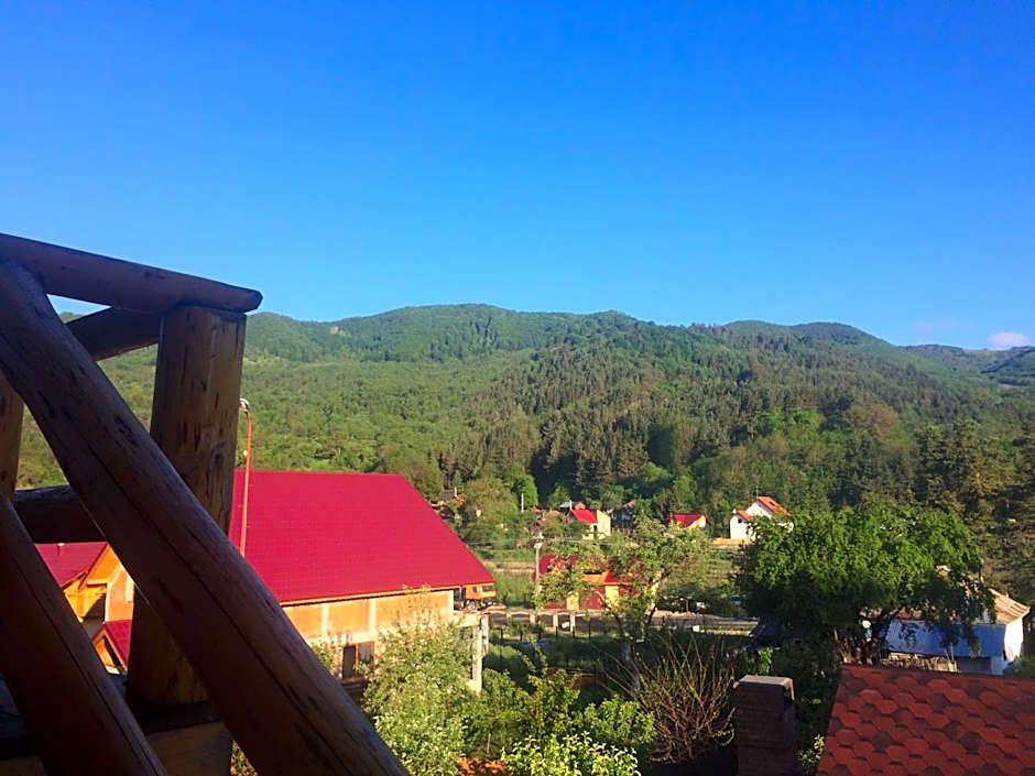 Casa de Vacanta Neagu