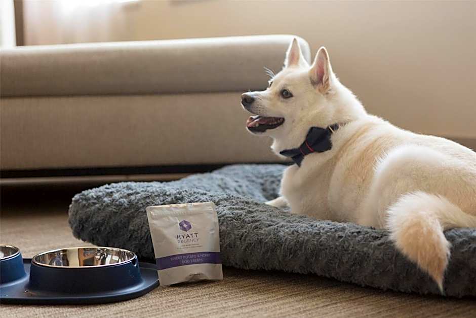 Hyatt Regency Lake Washington