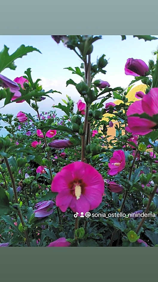 Ostello ninin de ma'