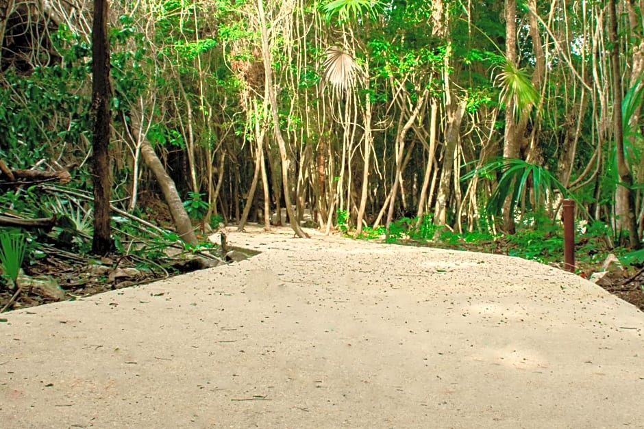 Hotel Casa Tortuga Tulum Cenotes Park Inclusive