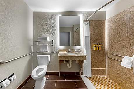 1 King Mobility Accessible Roll In Shower Desk Microwave Fridge Wi-Fi NSMK Full Breakfast