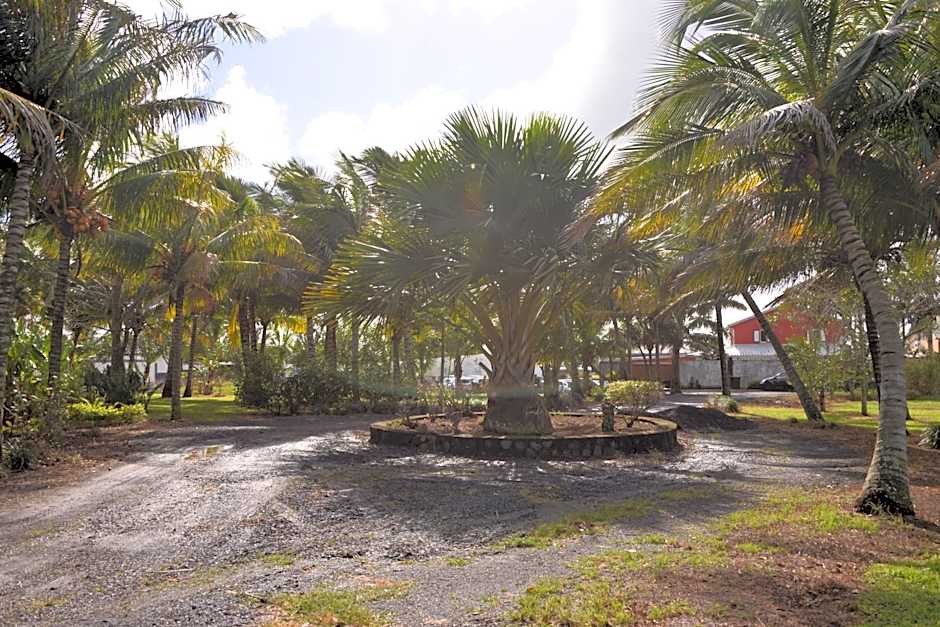 Domaine des Oiseaux Réunion