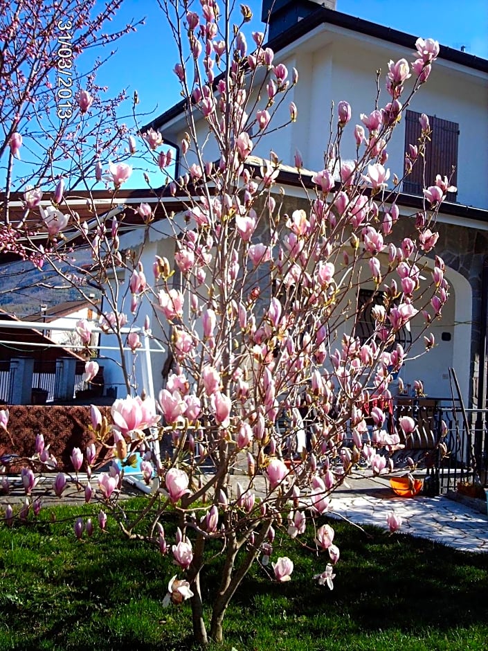 B&B Le Rondini