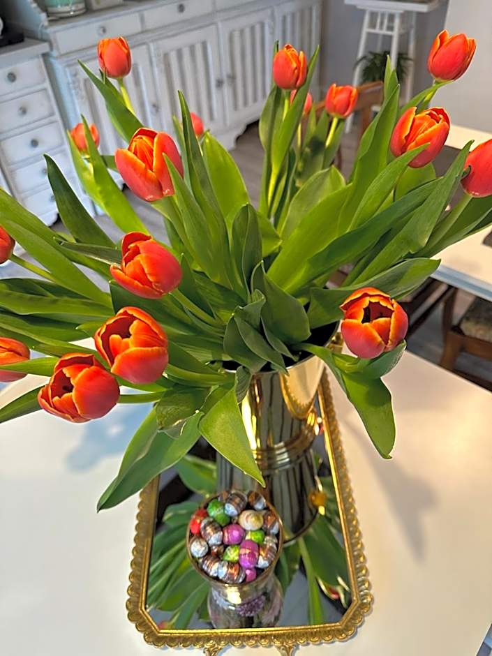 B&B La Dolce Casa Lago di Como