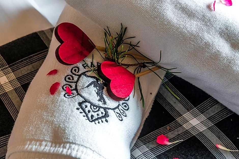 Aparthotel Rabiań-SKI 10metrów do wyciagu połączonego z całą Kotelnicą na miejscu wypoożyczalnia z serwisem