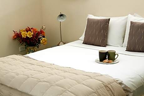 Large One-Bedroom Apartment