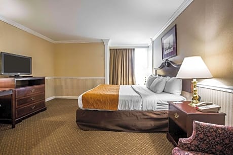 1 King Bed, Nonsmoking, Accessible