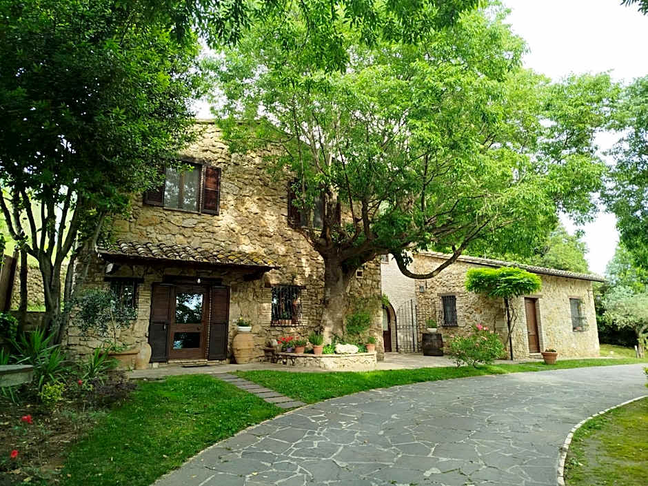 All'Ombra di San Damiano