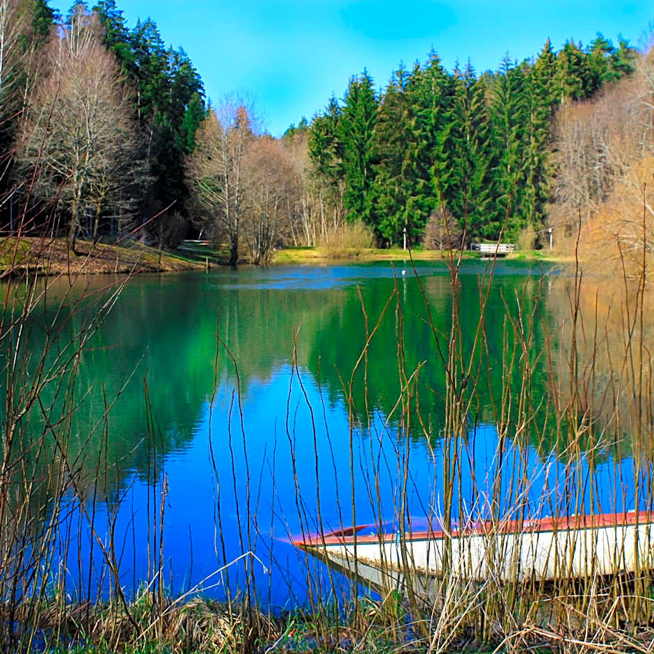 Hotel-Resort Waldachtal - Adults only