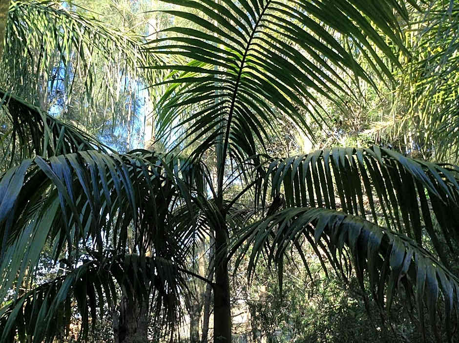 Mollymook Paradise Haven Motel