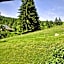 Schwarzwald-Hotel Kraeutle