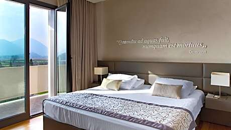 Majestic Superior Double or Twin Room with Pool Access