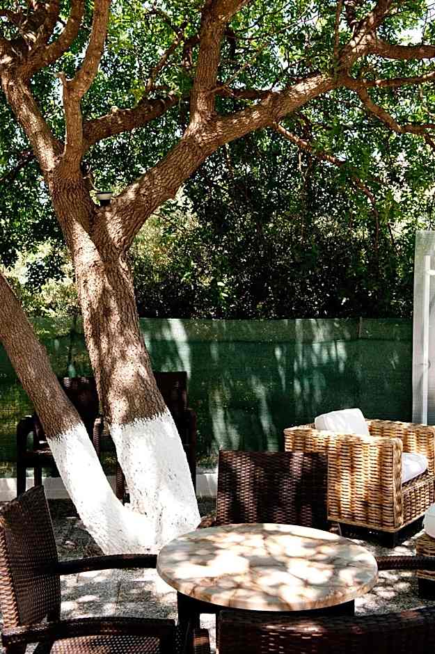 Aphrodite Samos Suites