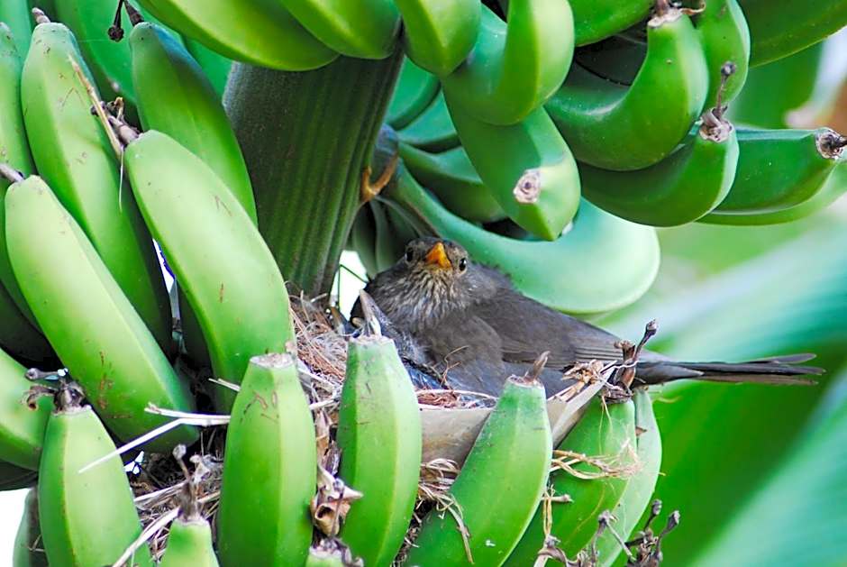 Hotel Marina Village