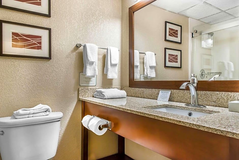 Comfort Inn Cranberry Township