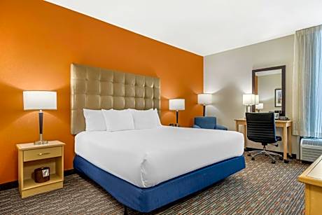 Deluxe King Room - Accessible, Roll-in Shower