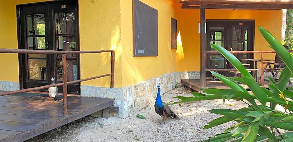 Cabañas Kin Balam Palenque