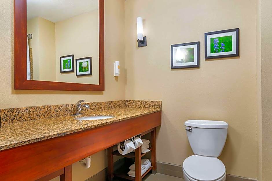 Comfort Suites Manhattan