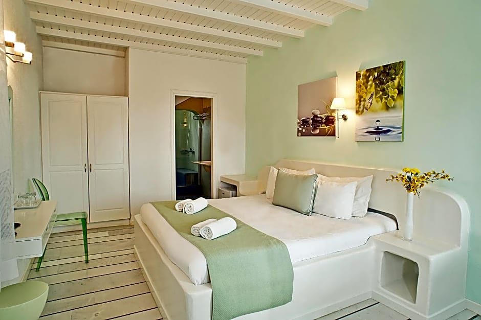 Anemoessa Boutique Hotel Mykonos