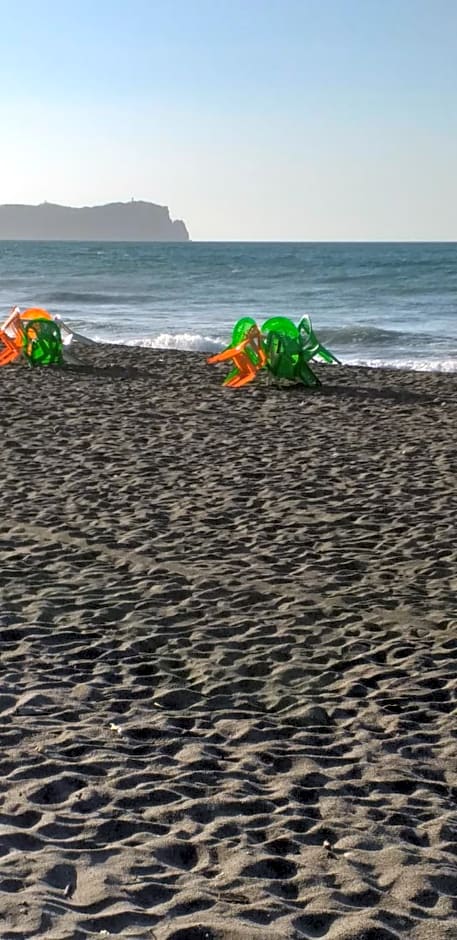 MAISON D’HÔTE LES TORTUES -