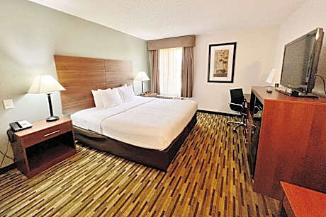 1 King Bed Nonsmoking Accessible