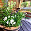 Agli Hotel