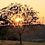 Domaine de Lascaux