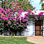 Hotel Casamar Suites