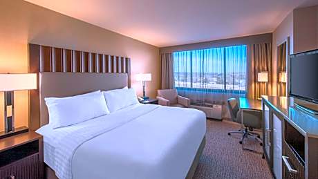 Premium King Room