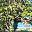 Ocean view Mauna Loa Shores Kai Ekahi #201 next to Carlsmith Beach Park Hilo HI