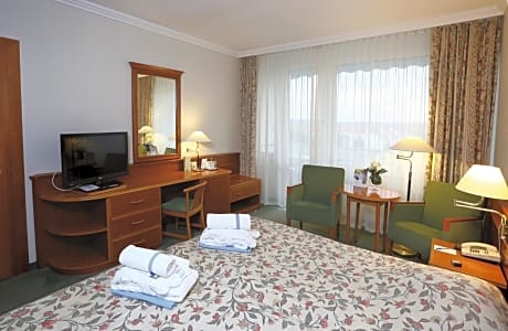 Standard Double Room with Wellness and Fitness Access