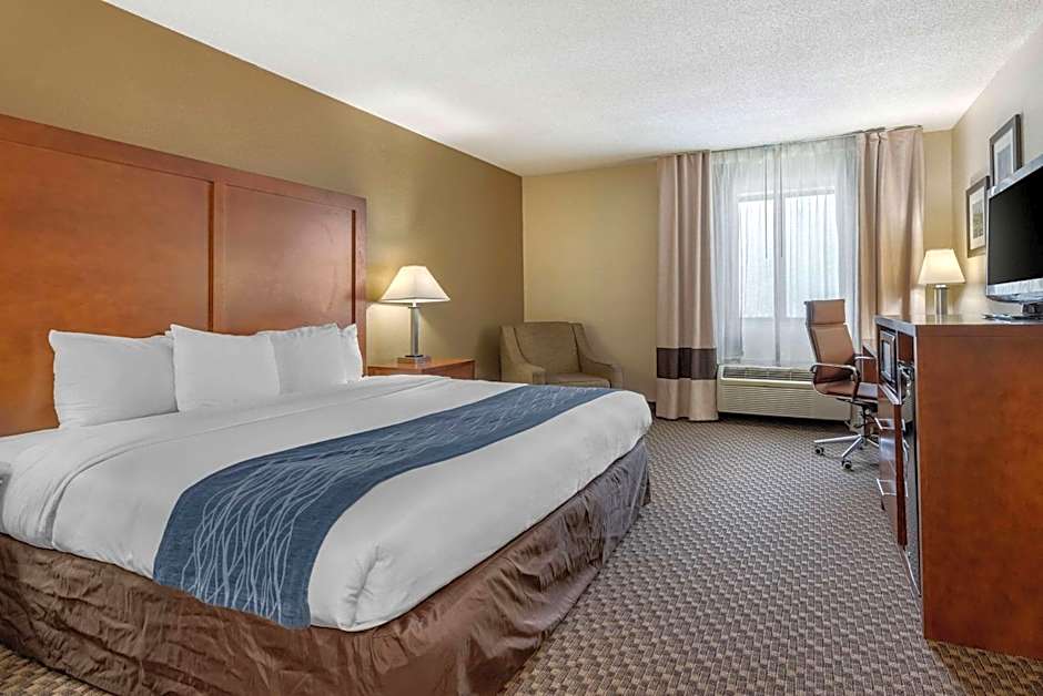 Comfort Inn Indianapolis South
