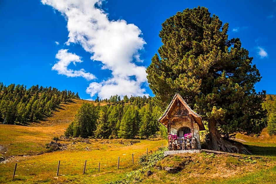 Ferienhütte Hoitahüttl