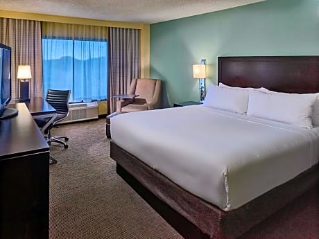 Mobility Accessible Deluxe King Room with Roll-In Shower