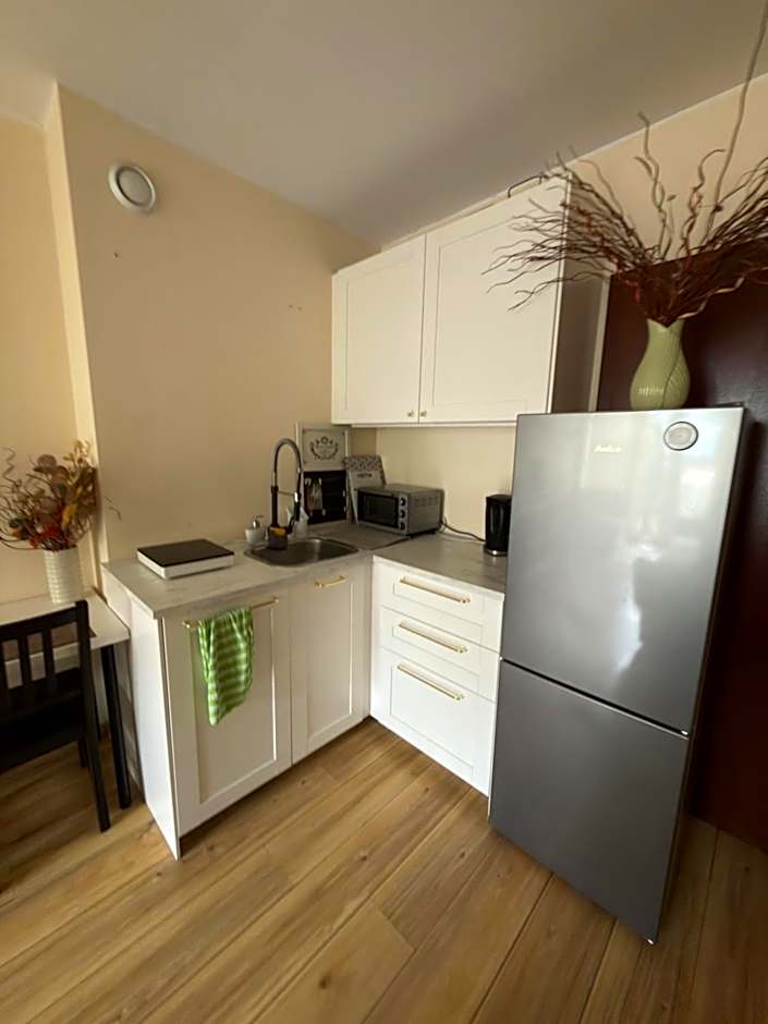 Apartament przy Koniu Trojańskim