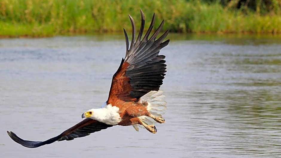 Rijk's Wine Estate & Hotel