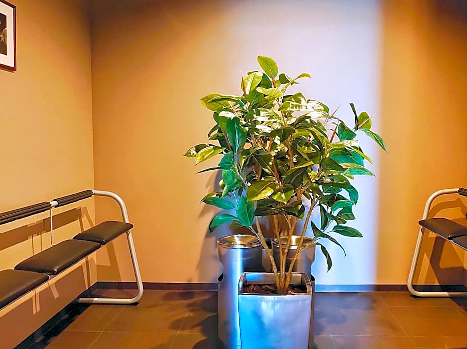 Takaoka Manten Hotel Ekimae