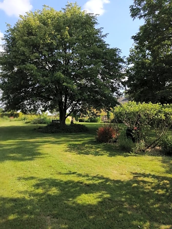 Les Berges de la Planchette