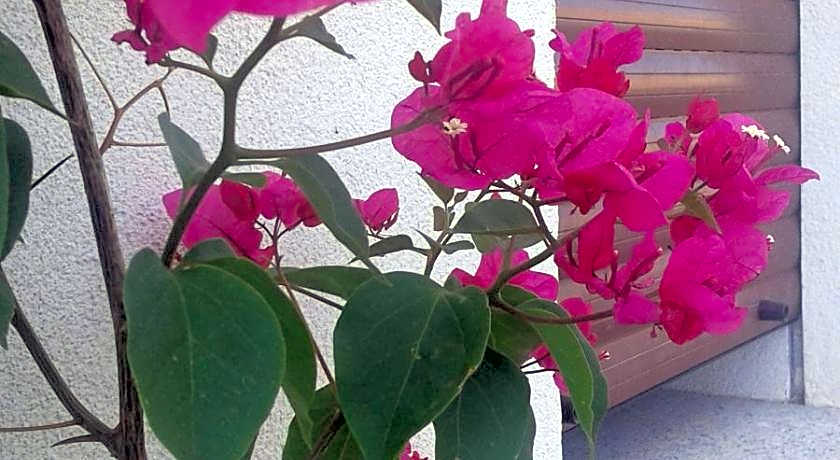 Alma Bed & Breakfast