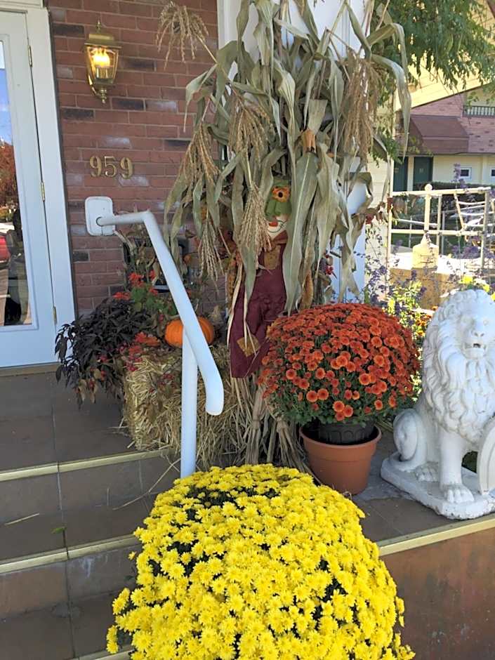 The Black Mountain Inn