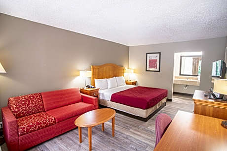 1 King Bed, Smoking, Accessible