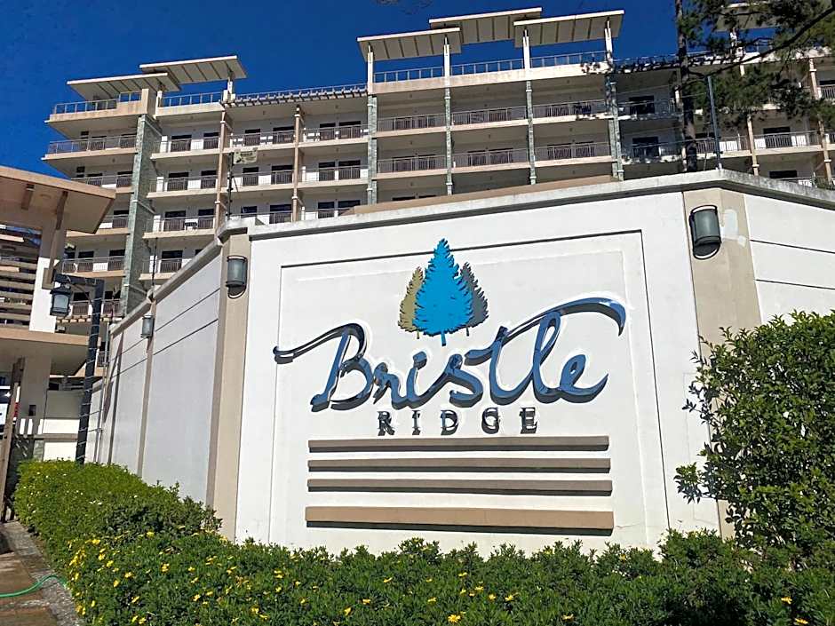 Rosarich Homestay - Bristle Ridge Residences