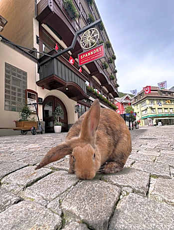 SPANNORT family home with common kitchen and self check-in