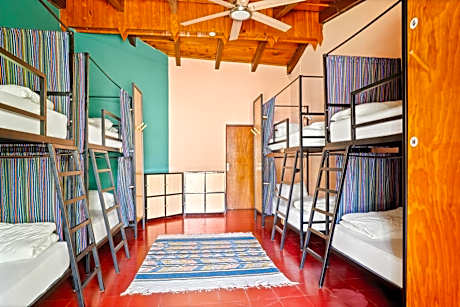 Bed in 8-Bed Dormitory Room