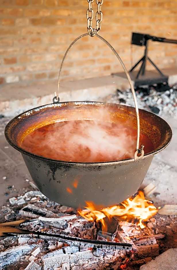 Pansion Mihića dvori