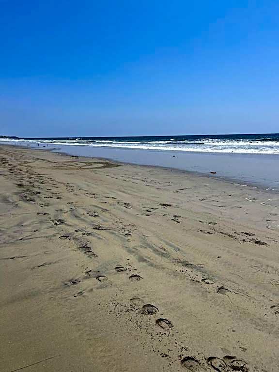 Tritons Place-Half Acre Oceanfront Paradise With Private Pool, Jacuzzi, Fire Pit, Beach Access