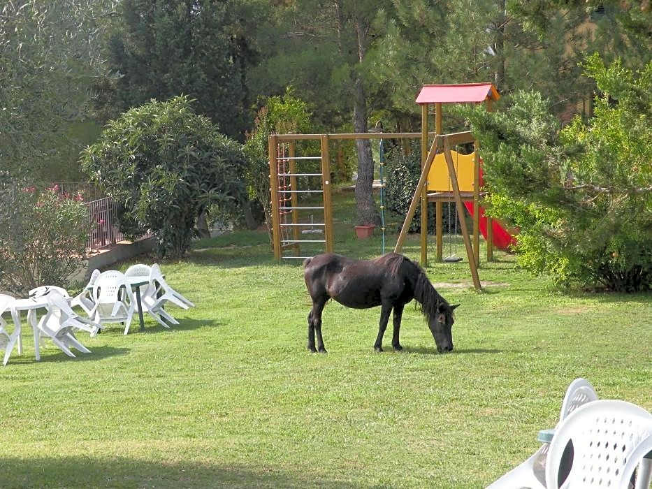 Agriturismo Podere Diacceroni