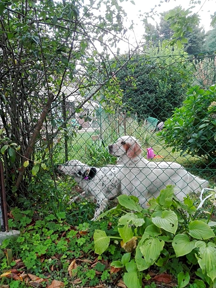 Il Casolare del Medio Olona